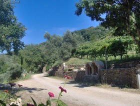 Tenuta Mauri  Agriturismo Vota