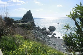 Vigo Resort