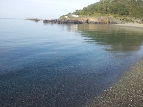 Branca