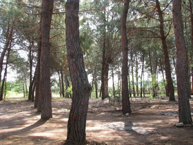 Sweet Home La Conturella