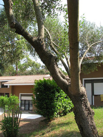 Sweet Home La Conturella