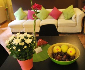 B&B Bouganville