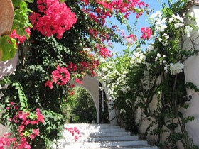 Punta Rossa