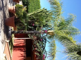 Residence Hotel Felix