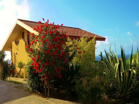 Baciati Dal Sole