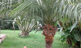 Hotel Il Lungomare