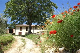 La Perticara Agriturismo