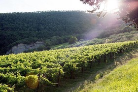 Agriturismo Colle Pu