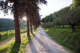Agriturismo Colle Pu
