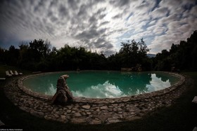 Agriturismo Paradiso41