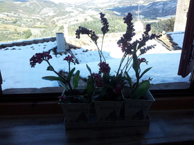 Bed and Breakfast A Casa delle Fate