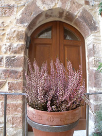 Bed and Breakfast A Casa delle Fate