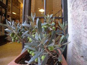 Bed and Breakfast A Casa delle Fate