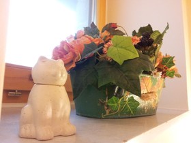 Bed and Breakfast A Casa delle Fate