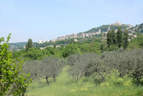 Country House Poggio Fiorito
