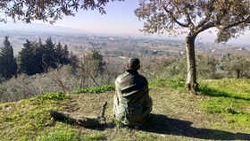 Fontebella