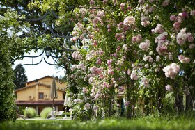 Garden Resort & Spa San Crispino