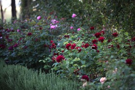 Garden Resort & Spa San Crispino