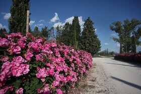 Garden Resort & Spa San Crispino