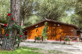 Green Village Assisi Hotel