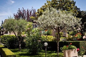 Vignola