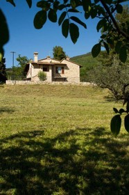 Villa Degli Ulivi