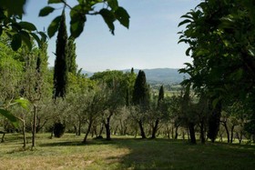 Villa Degli Ulivi