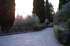Villa Degli Ulivi