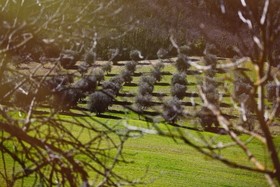 Casale Al Lago