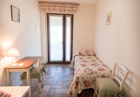 Rosa di Assisi