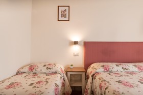 Rosa di Assisi