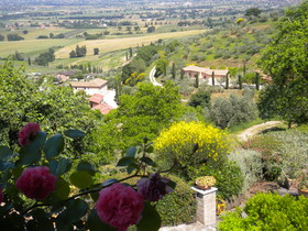 Il Poggio degli Olivi