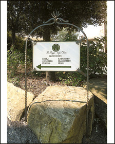 Il Poggio degli Olivi