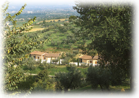 Il Poggio degli Olivi