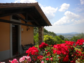 Il Poggio degli Olivi