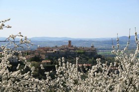 La Piazzetta B&B
