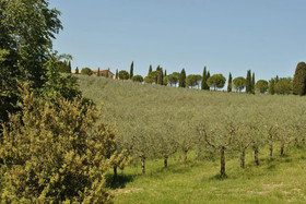 Agriturismo I Getsemani
