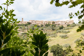 Il Rientro