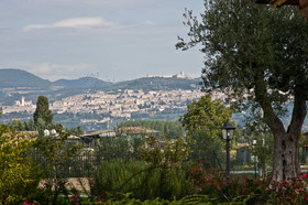 Le Rondini di Francesco di Assisi