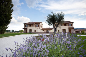 Le Rondini di Francesco di Assisi