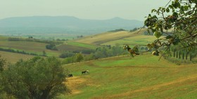 Agriturismi Farina