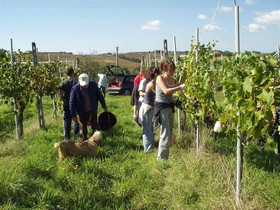 Agriturismo Frattavecchia