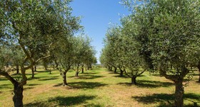 Agriturismo Frattavecchia