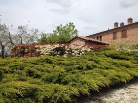 Agriturismo Frattavecchia