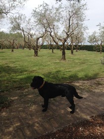 Agriturismo Frattavecchia