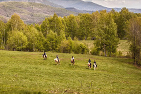 Agriturismo Il Poggio di Cantagallina