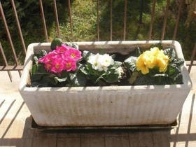 Agriturismo Le Rose