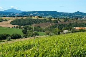Agriturismo Poste Del Chiugi