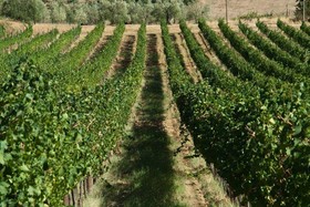 Agriturismo Poste Del Chiugi