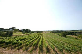 Agriturismo Poste Del Chiugi